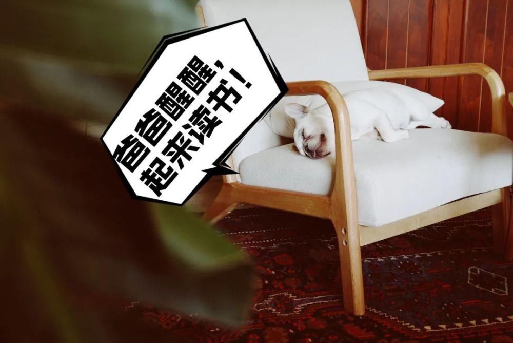  奶奶|我越来越喜欢这样的中国式陪读