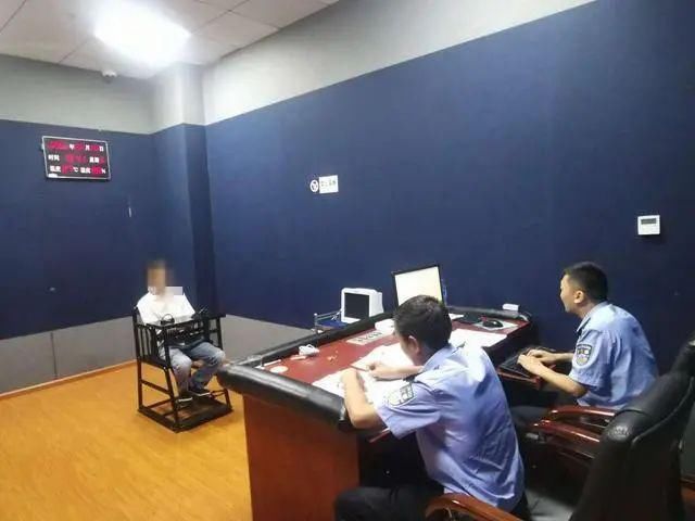  公安|凤冈森林公安破获一起重特大滥伐林木案