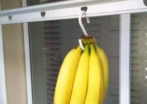  保存|香蕉不易保存，教你一招，放10天也不腐烂不发黑，赶紧试试