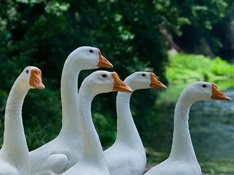  视频中|开保时捷的还差这东西？这个车主摊上事了