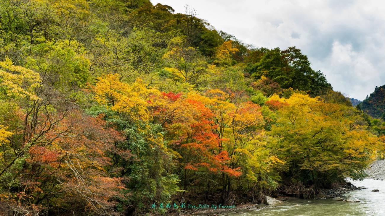 剪影|游记-又见秋日斑斓、晚霞的剪影-卧龙、巴郎山的一日