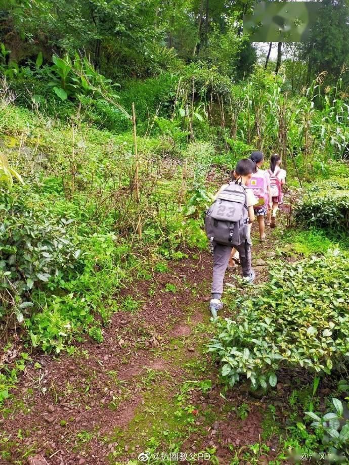 修路|小飞侠生日应援再为公益助力 捐款修路传递温暖和爱