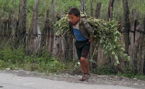  孩子|曾“千里背疯娘”的大学生，32岁获此殊荣，寒门就该出孝子？