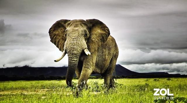 投影|极米MOVIN 01X评测：年轻人的第一台智能投影