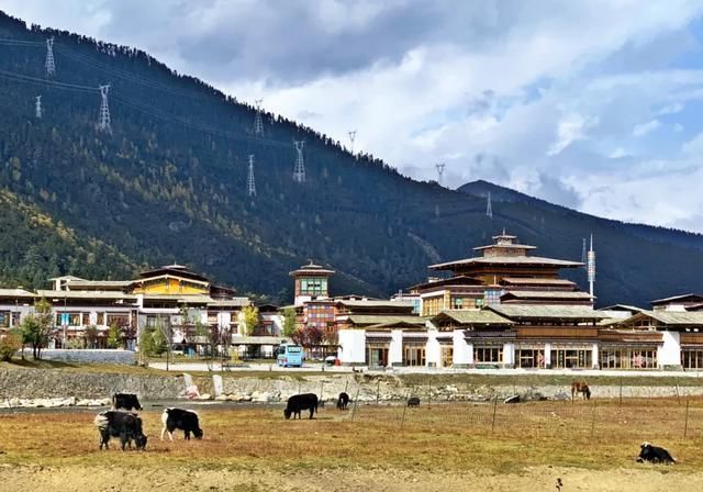 女人|旅行:曾经有一个女人,为我而去了西藏