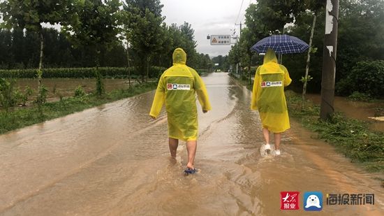  现场|大众网·海报新闻记者赶赴汛情现场！部分农田被雨水淹没！