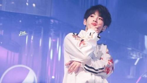  合集|2021选秀合集：六大选秀上阵，小破站也来凑热闹，央视资本雄厚！