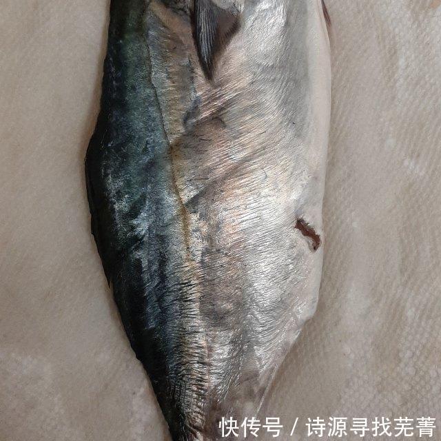 鱼肉|香煎狐鲣鱼,鱼肉鲜嫩好吃