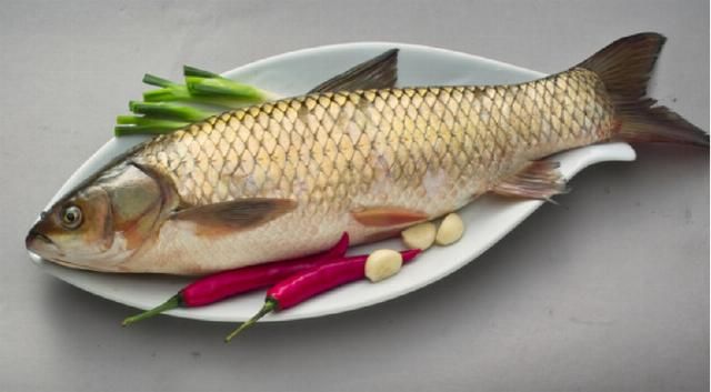 红烧|草鱼不蒸不炸不红烧,这样做也好吃,随便搞搞都是美味