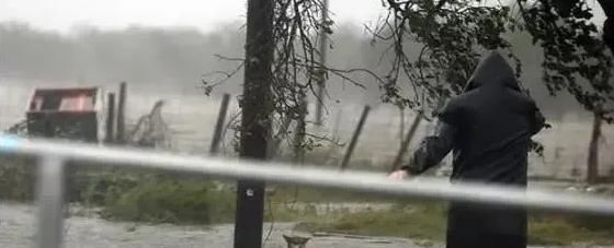  洪水|狗狗被主人拴在电线杆上＂等死＂，比飓风洪水更可怕的是人心！