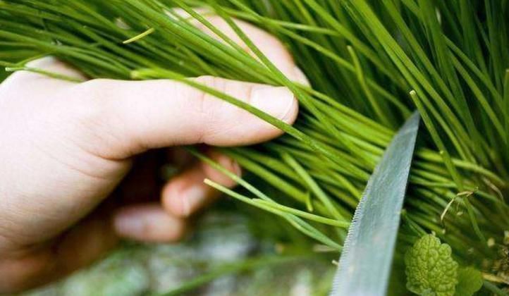 抓住了你|一个“韭菜”的自白要想不被“割韭菜”，从这两方面改变