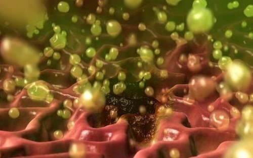 胃病|消化科主任:1种养胃水,连喝30天,清幽门螺杆菌,胃病一扫而光