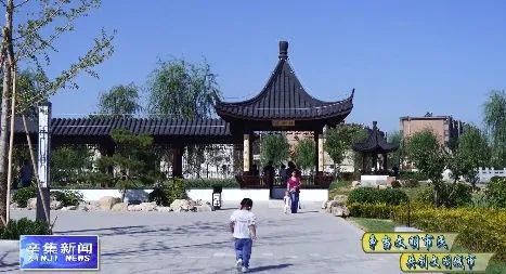 曝光|曝光!辛集最“年轻”的公园里,这些不文明行为…【辛集热门】