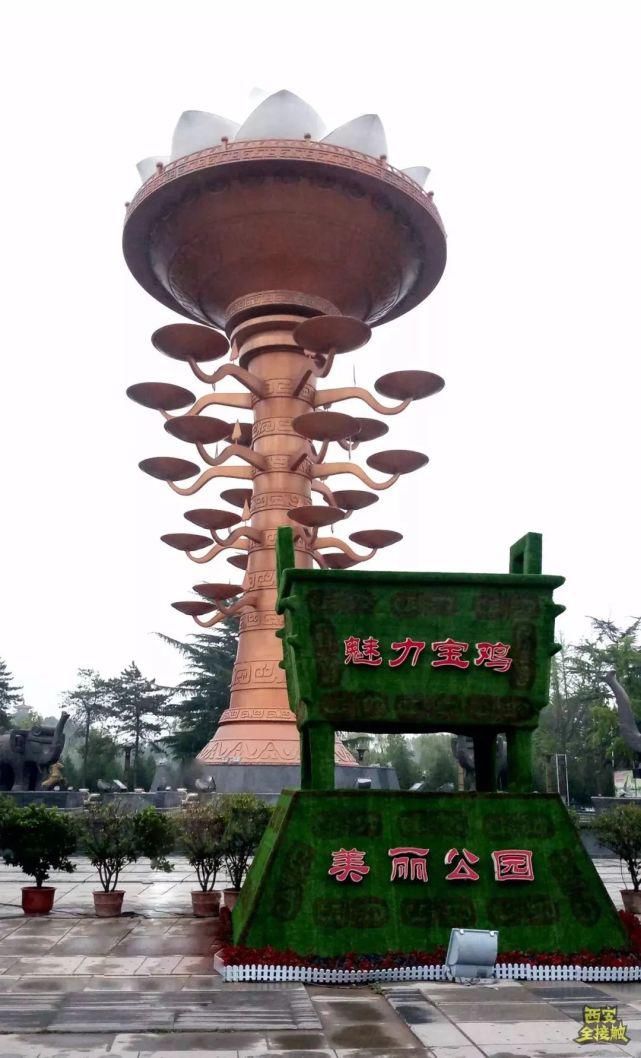 回来|宝鸡！我回来了！