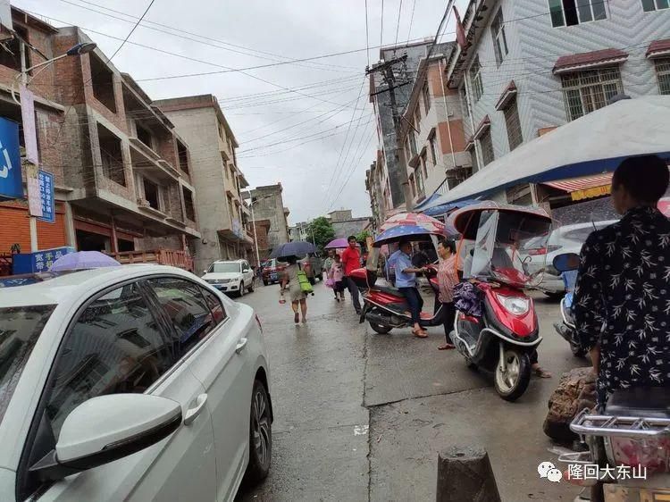六都寨丁山|六都寨丁山___细雨中的那抹红