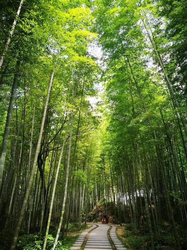  角落|一起去爬山吗？正经的那种，江西这些登高望远“隐秘的角落”，你去过几个？