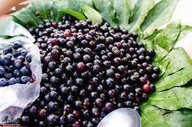  人工合成|不仅火锅材料有合成的，水果也有！2种人工合成的水果，你吃过吗