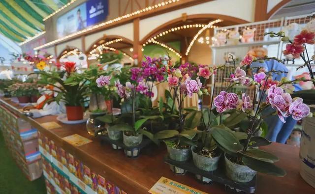 啤酒|金沙滩啤酒城常态化运营,假期嗨不停!