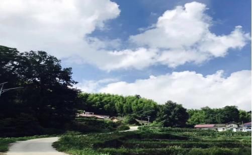 生活|有感于故乡的小村落