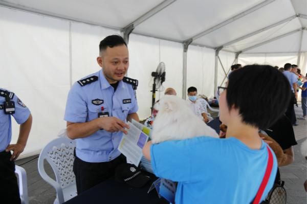  负责|养宠物要负责到底！浦东查处一起遗弃犬只案，主人被罚500元