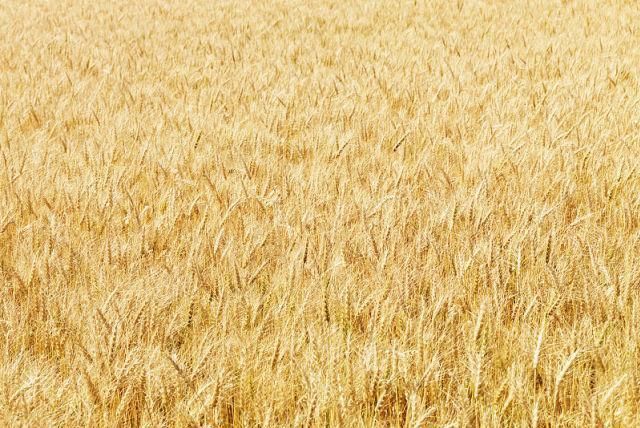  曹妃甸|唐山曹妃甸因她而得名，揭秘曹妃的传奇故事，海上渔民的守护海神