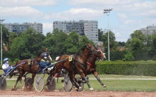  社会|【社会】为除蜂巢引发大火，直升机出动，赛马场让路