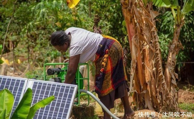 措施|2.4亿人陷于饥饿，疫情加剧非洲粮食危机