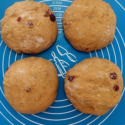 蔓越|巧克力蔓越莓软欧包