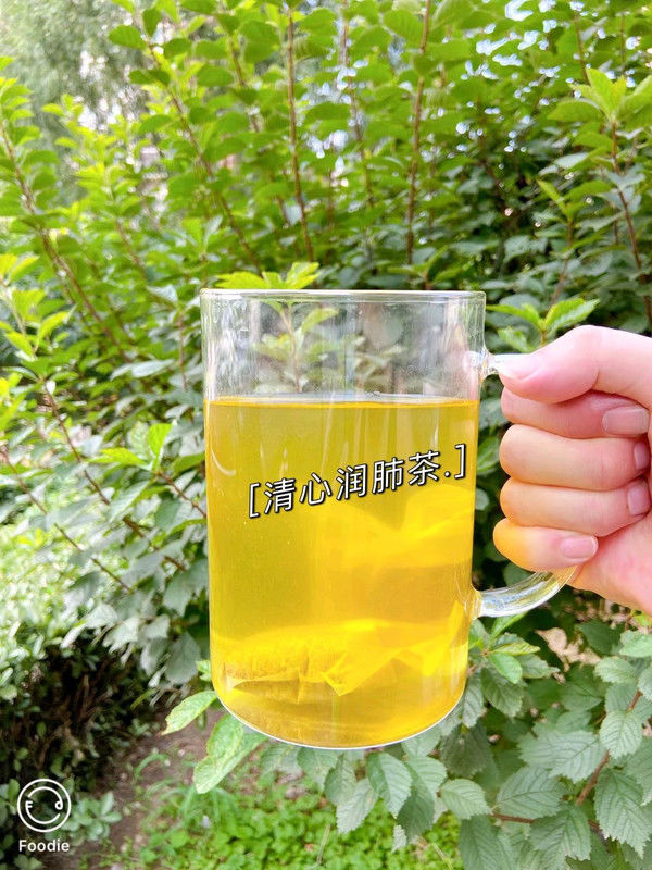 第一杯养生茶是什么(第一杯养生茶)