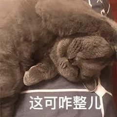  花样百出|男子二次酒驾被查花样百出