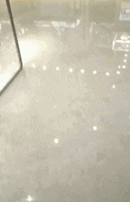 捐赠|搞笑GIF:哥们,很有钱嘛!捐赠我点吧!别玩了!