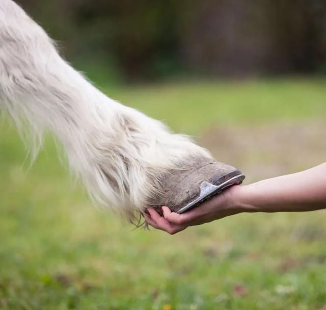 别称|同一物,天南地北的叫法竟差这么多