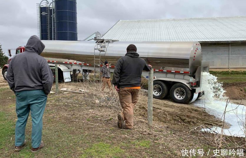 可惜|韩国牛奶无处可销，倒掉觉得非常可惜，于是想让我国低价接盘？