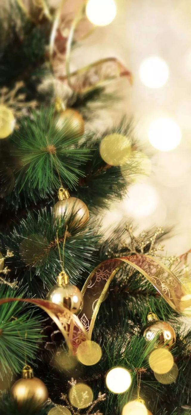  壁纸|壁纸 | 超清唯美全面屏壁纸图片