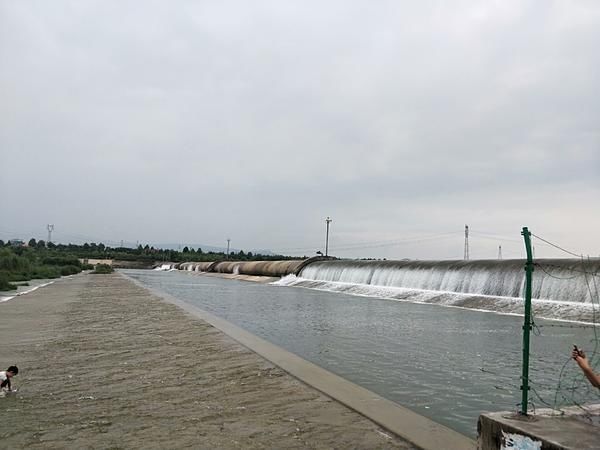 市民|洛阳不少市民在伊河某一段橡胶坝下戏水，看起来十分危险