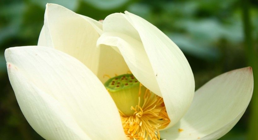  事业|8月开始财运上上签，事业一路高歌，万事不求人的四大生肖