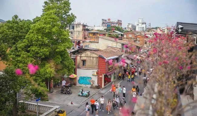 泉州|来泉州,请直奔这里