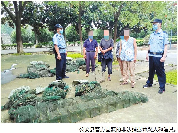  违法犯罪|严惩不怠！近期，一大群人在这件事上栽了跟头