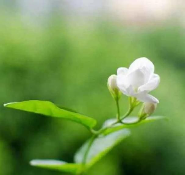  临时|一个人，好运来临时，往往有这3个表现，恭喜了！