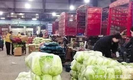 蔬菜|蔬菜行业内涵多,没开种惨亏500万!这些雷区不要踩