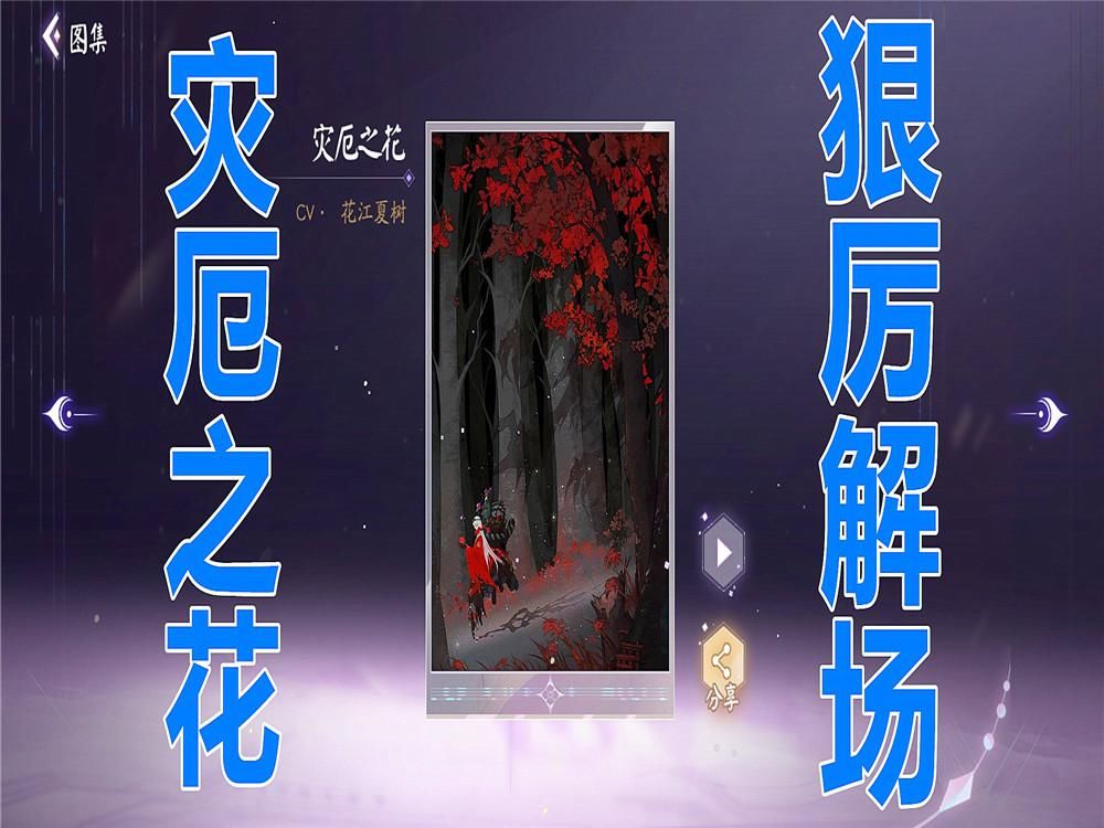 侍应|阴阳师百闻牌：百闻牌NPC“三目”，终于从猫侍应变成了猫武士