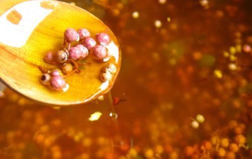 增香|调饺子馅时,别只会用葱增香!多加2味,肉馅喷香,又软嫩多汁