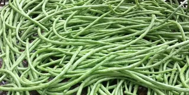 老坛|矿泉水瓶腌酸豆角，酸得正宗，久放不生花，比老坛做的还要好吃！