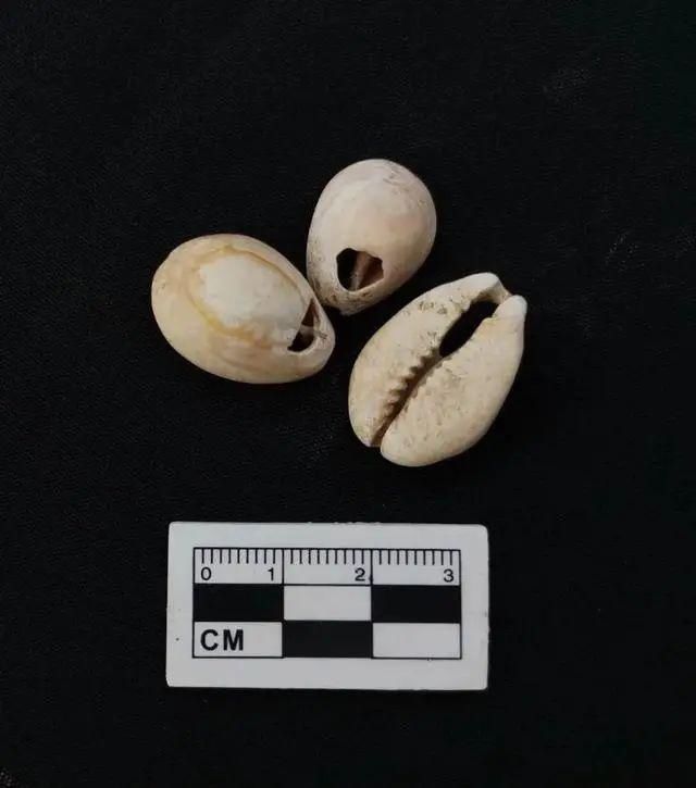  重建|一中学重建足球场，发现3000㎡古墓，单坑19颗头骨