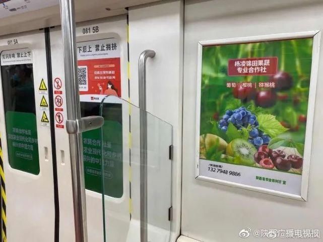 户外媒体|嫌户外媒体老土？那是因为你们没看到他们这样玩！