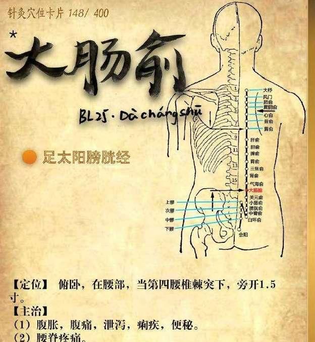  大肠俞穴|脾虚五更泻，温肾健脾轻松补！