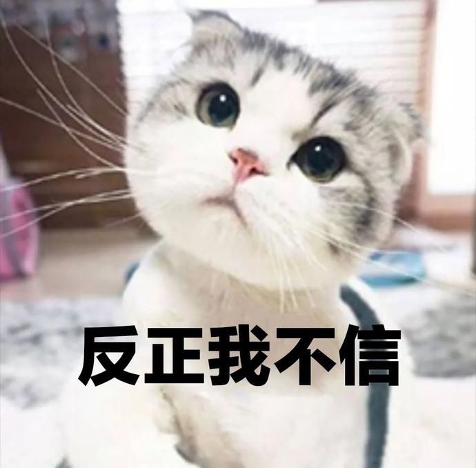 电信|反电信诈骗 | 因为“云养猫”,6000多人被骗上亿元!