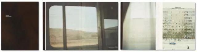  停用|摄影圈｜佳能宣布所有新产品停用两个术语 / 女摄影师凭水中拍鸟成北美打鸟第一人