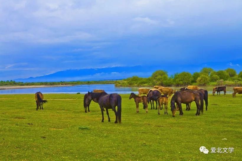 原创|原创丨记在新疆支教的日子
