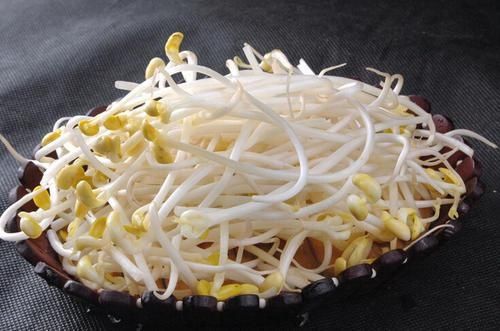  爽脆|炒豆芽，豆芽先下锅就错了！难怪豆芽不爽脆，大厨：这样做才对